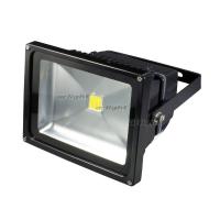 BR-FL-30W-1.jpg