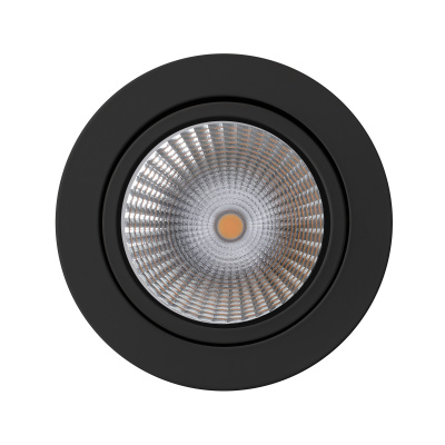 focus-16-bk-front.jpg