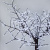 024745-50.jpg