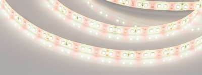main_038171.jpg