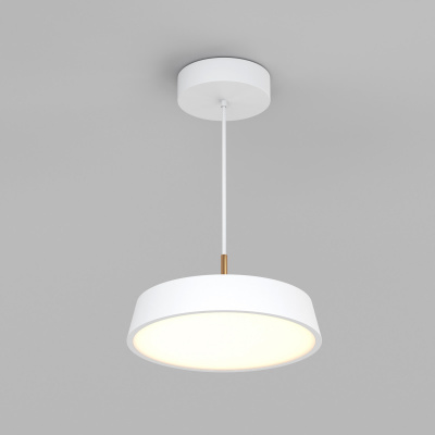 SP-ELEGANT-R300-17W_vray_2015_n_WH.jpg