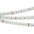 Лента RT-B60-12mm 24V RGBW-Day-4-in-1 (19.2 W/m, IP20, 5060, 5m) (Arlight, Открытый)