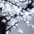 024745-13.jpg