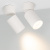 027552-lum.jpg