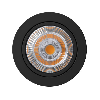 focus-30-bk-front.jpg