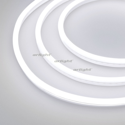 029363-6_White.jpg