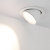 024031-17-in-light.jpg