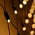 024688-10.jpg