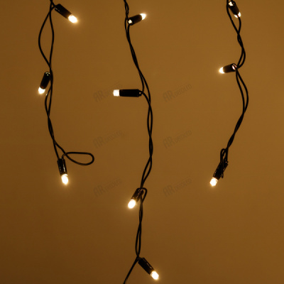 026013-4.jpg