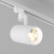 LGD-ZEUS-4TR-R100-30W_vray_2015_nv_WH.jpg LGD-ZEUS-4TR-R100-30W_vray_2015_nv_WH.jpg