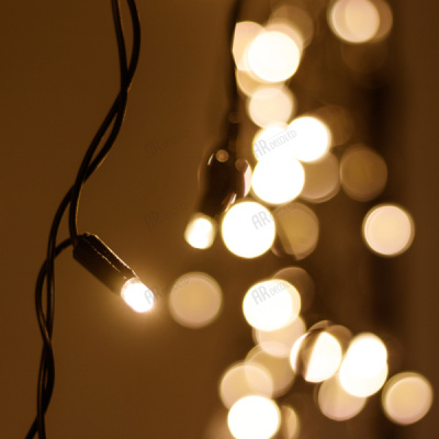 026013-10.jpg