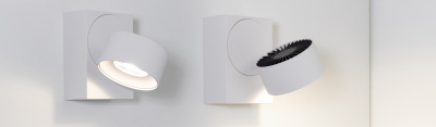 plurio_BASE-SURFACE-S_top2048.jpg